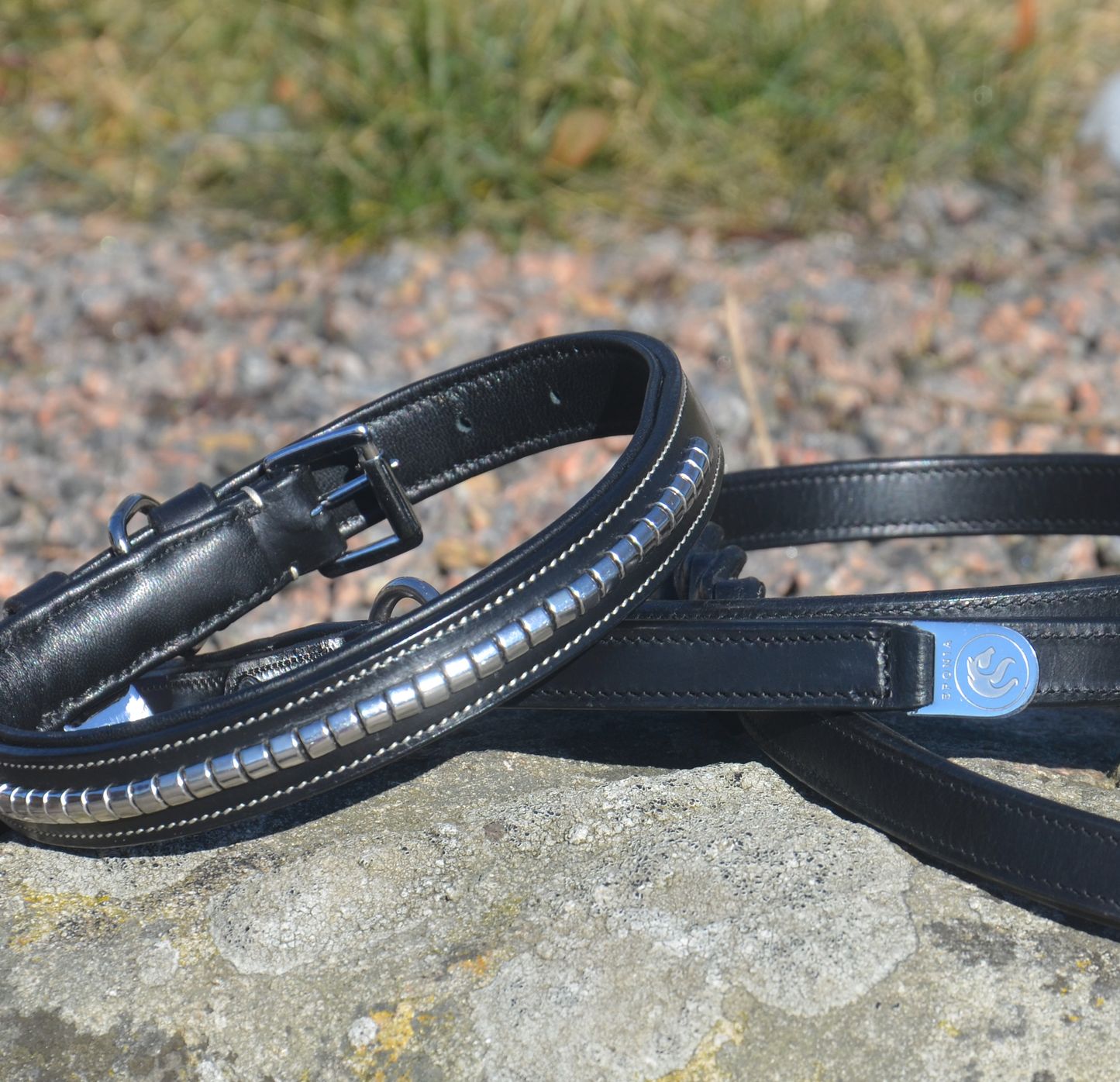 Premium dog collar in natural tanned leather and classic clincher